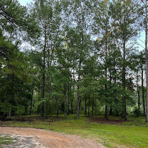 Meet your Posher, Vernon